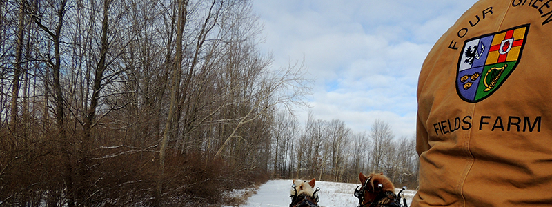 Photo of Hay and Sleigh Rides 11
