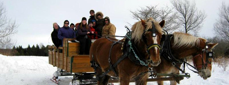 Photo of Hay and Sleigh Rides 13