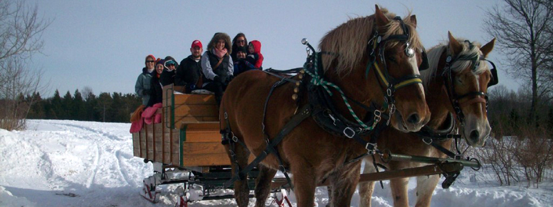 Photo of Hay and Sleigh Rides 16